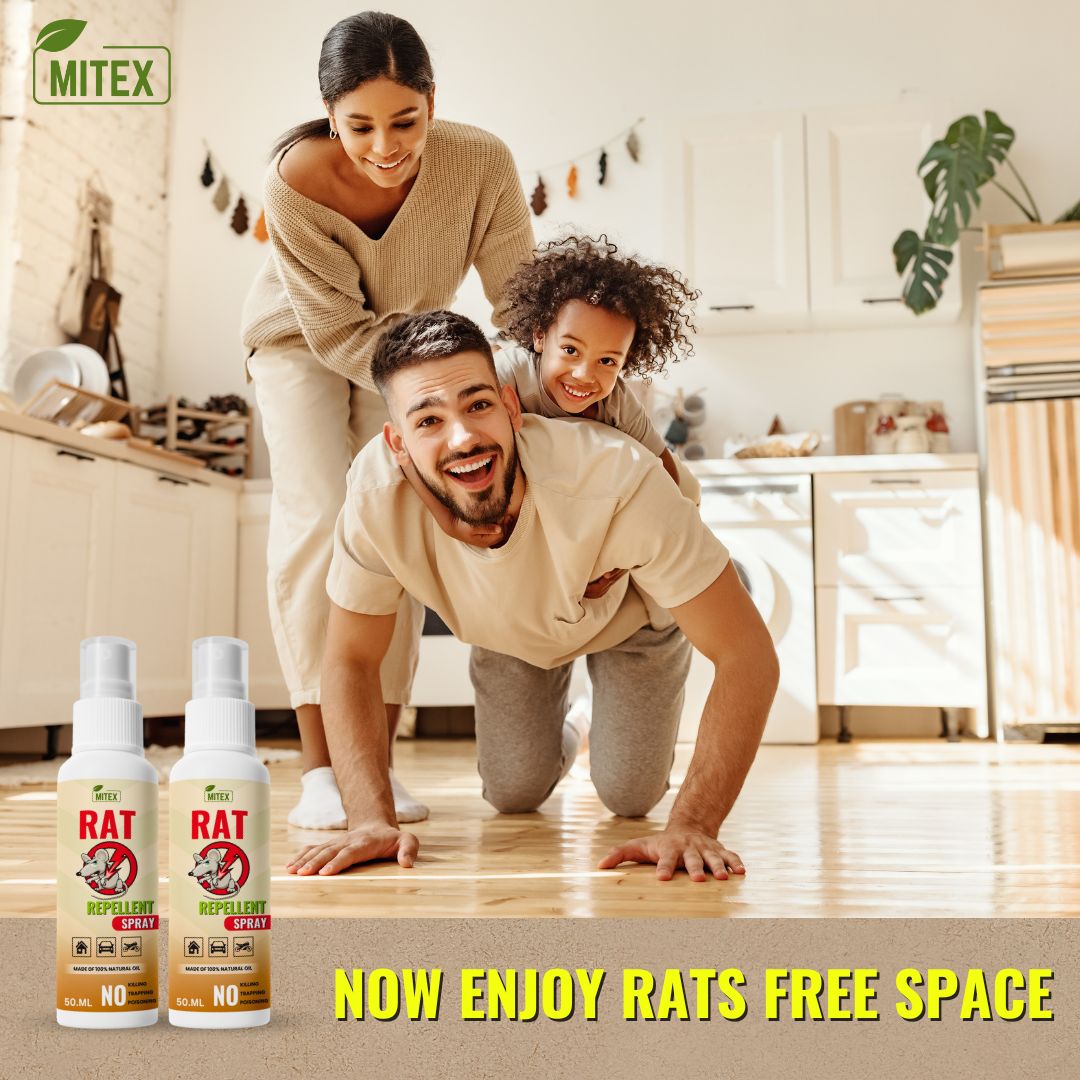 Buy 1 Get 2 Free | Rat Repellent Spray - Safe, Effective Rat Protection
