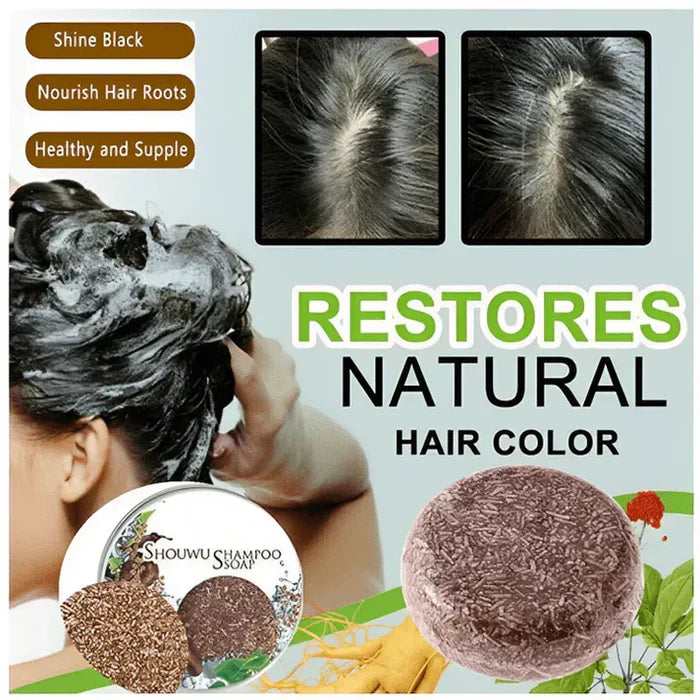 BUY 1 GET 1 FREE | Naturally Organic Hair Darkening Shampoo Bar