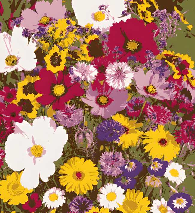 Winter Flower Seeds (Pack of 100) + FREE Plant Growth Supplement