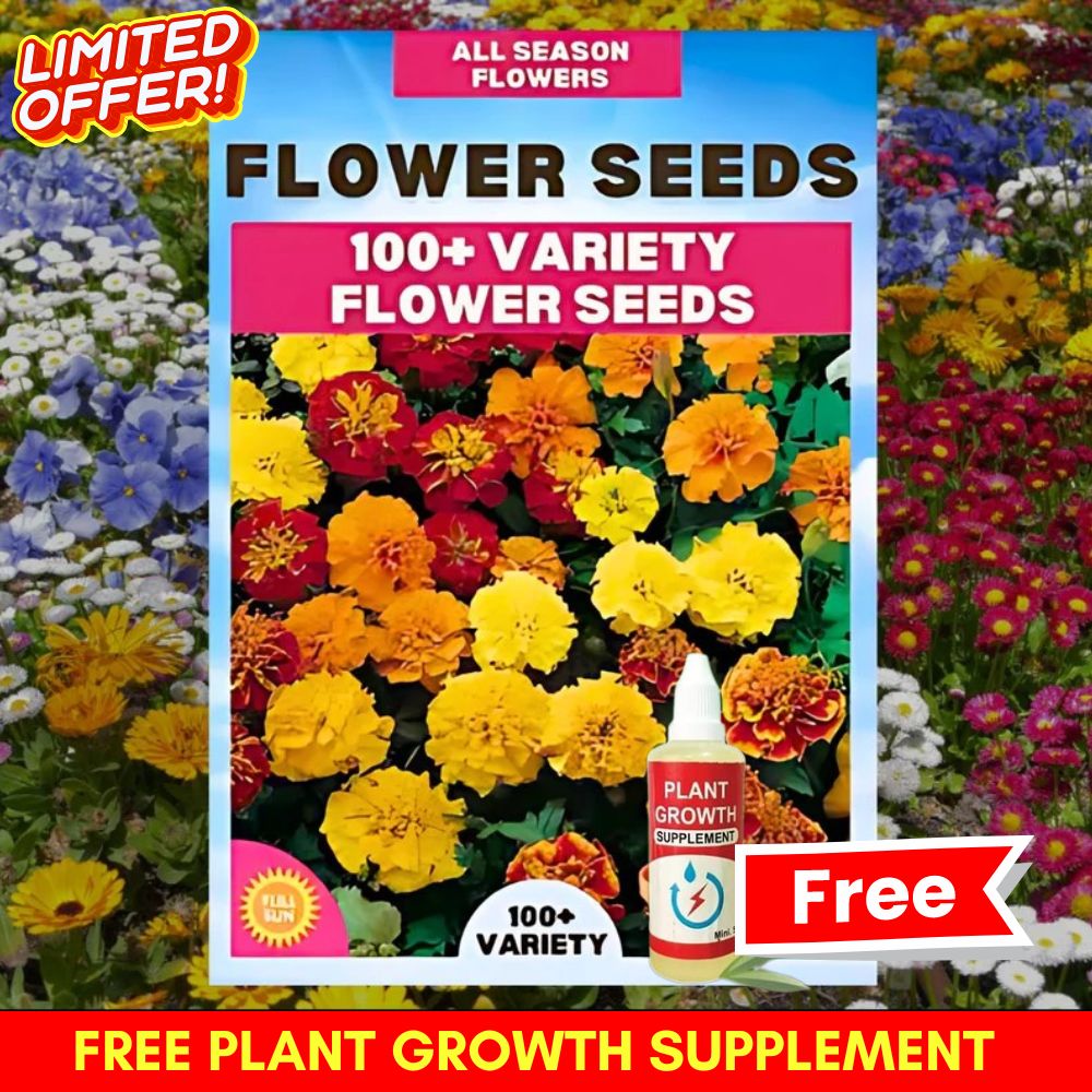 Winter Flower Seeds (Pack of 100) + FREE Plant Growth Supplement