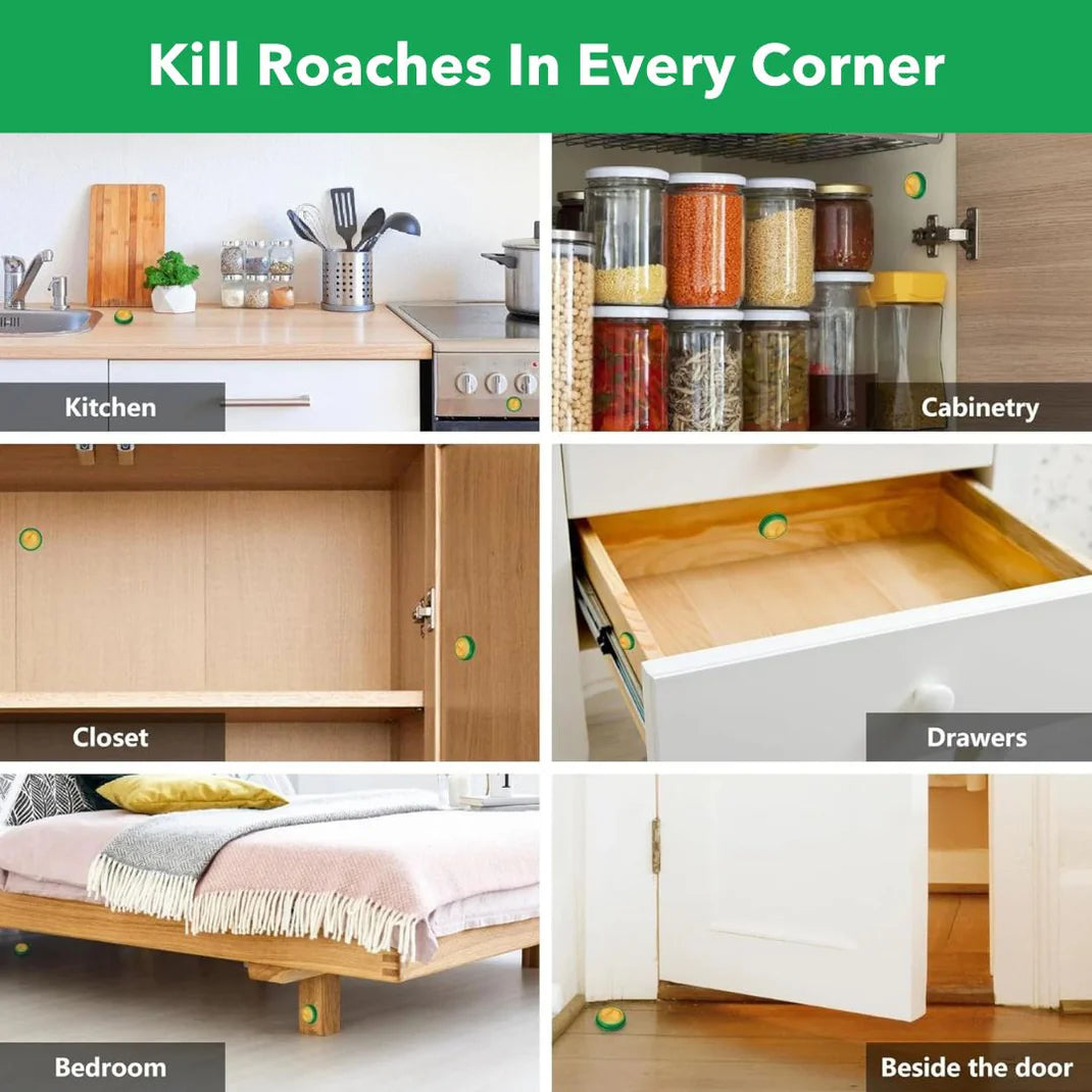 Powerful Cockroach Killer Powder Gel – Say Goodbye to Pests! 🪳🚫 (Pack of 24pc)